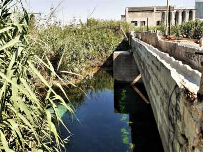 Il passaggio conduce all�ingresso del cosiddetto �obbrobrio�: un dissalatore costruito negli anni 80 per volere dell�Acquedotto Pugliese e mai entrato in funzione.  Le sue rovine sovrastano questo piccolo angolo di paradiso,  con i suoi silos e il suo cemento terribilmente vicini al corso d�acqua